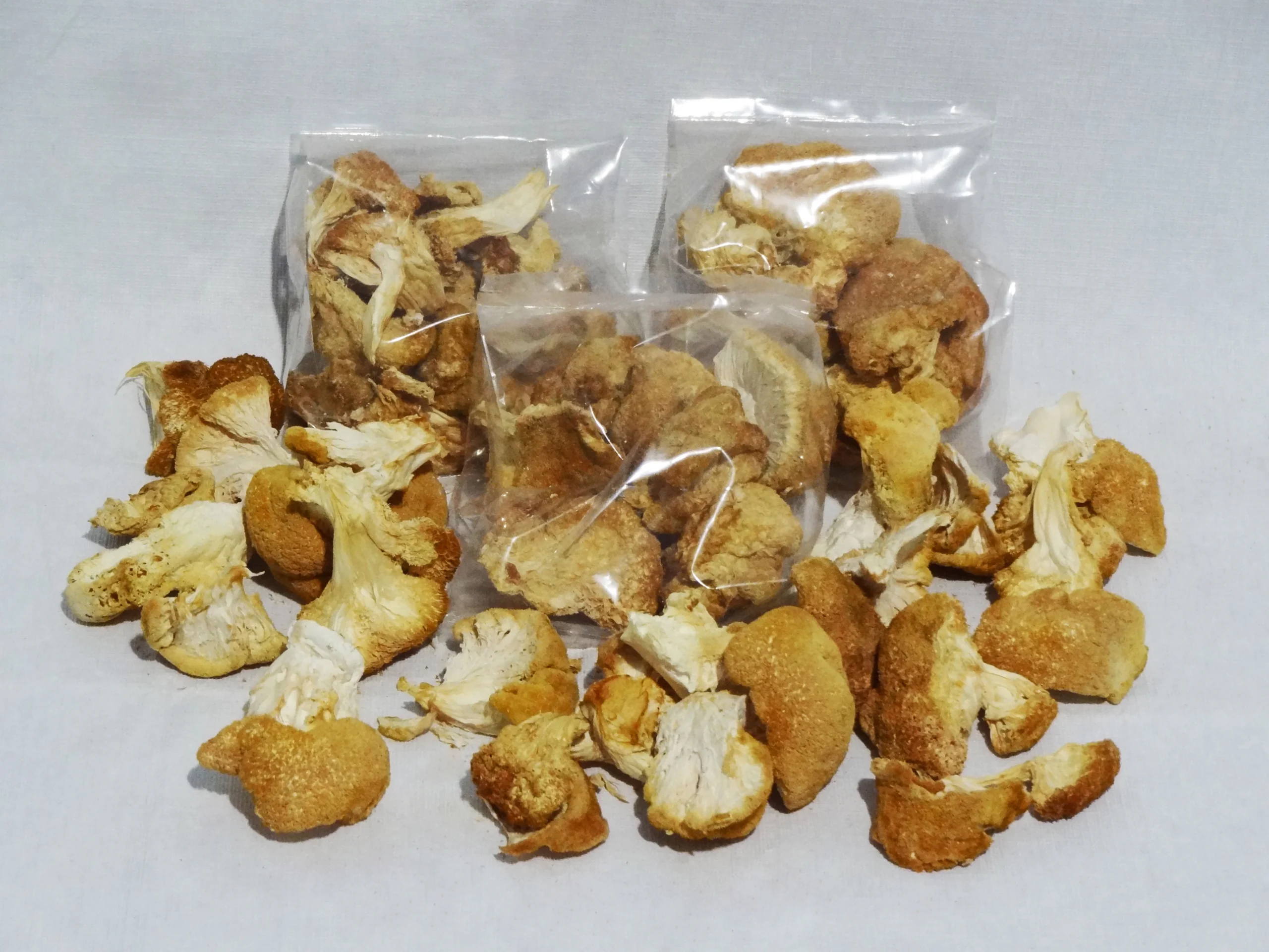 Buy Lion’s Mane Mushrooms Online